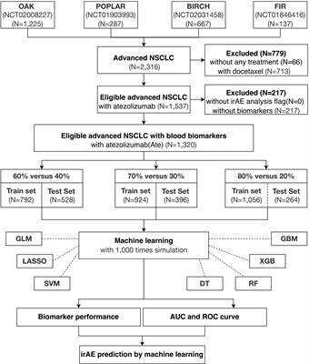 Elucidation of the Application of Blood Test Biomarkers to Predict Immune-Related Adverse Events in Atezolizumab-Treated NSCLC Patients Using Machine Learning Methods